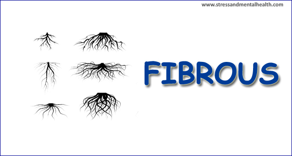 Fibrous