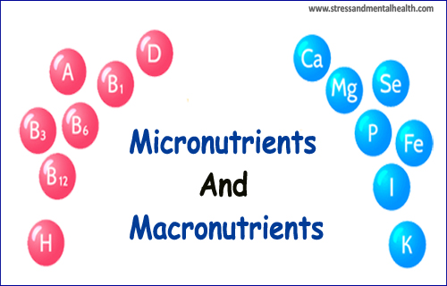 Micronutrients and Macronutrients