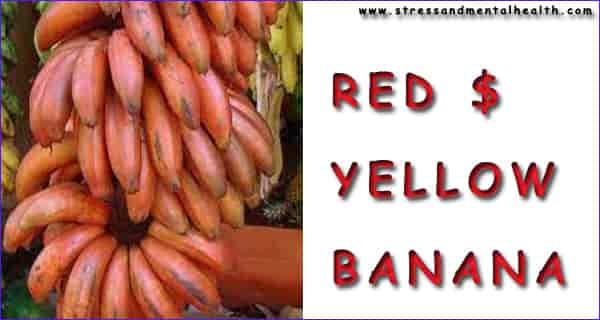 Benefits of Red Banana And How They Differ From Yellow Ones