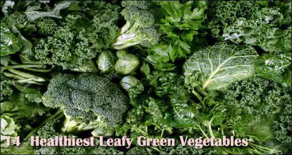 14 Healthiest Leafy Green Vegetables