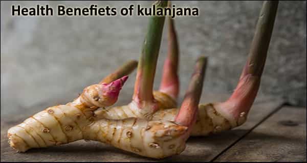 Benefits of kulanjana|Health Benefits of kulanjana