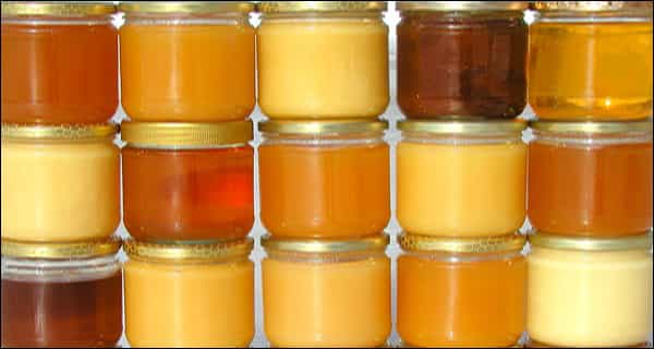 16 different types of honey in the world