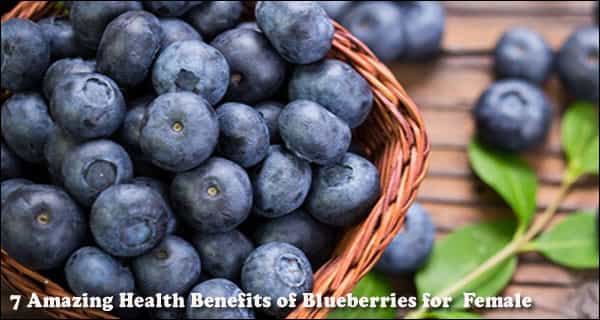 7 Amazing Health Benefits of Blueberries for Female