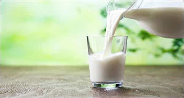 7 different animal milk which is best for human consumption