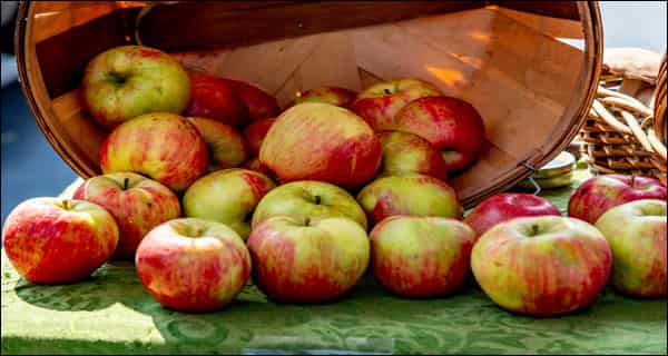 Do apples strengthen your bones