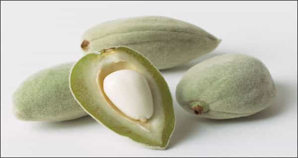 green almonds